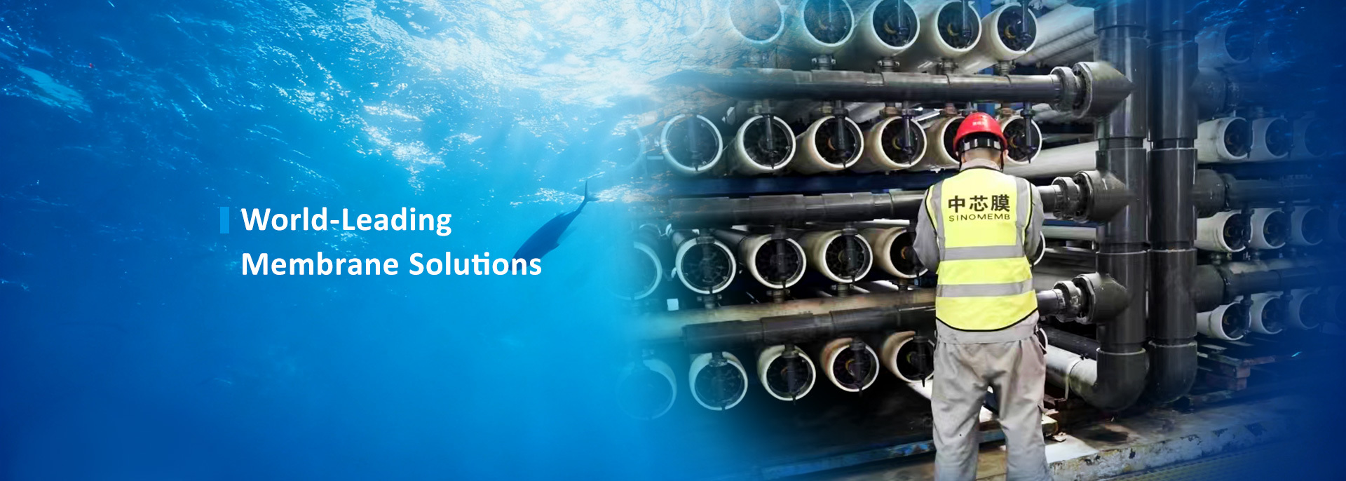 calidad Membrana del MBR fábrica