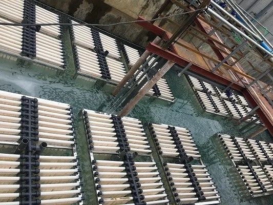 0.01mm Pore PVDF Hollow Fiber Membrane 29M2 Surface Area For Water Treatment Systems